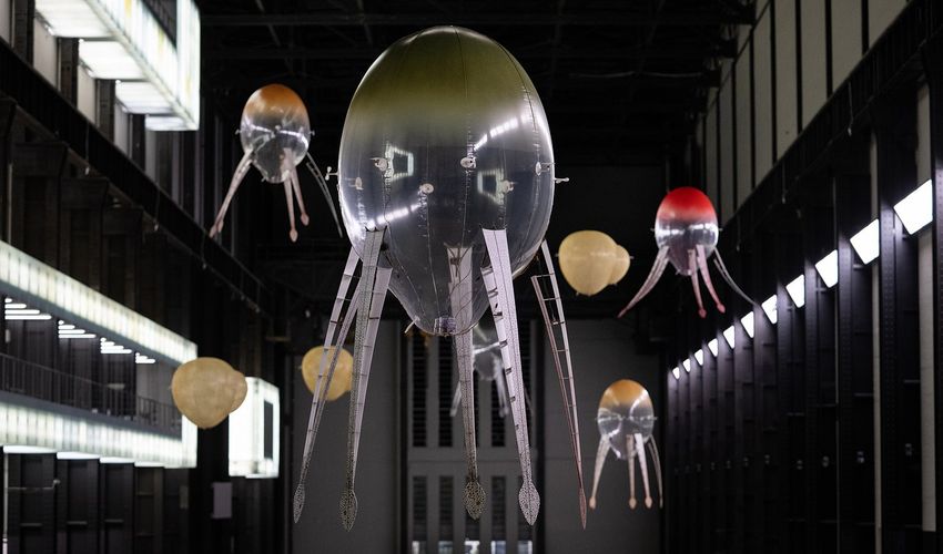 In love with the world