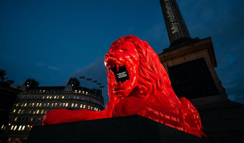 Please Feed the Lions